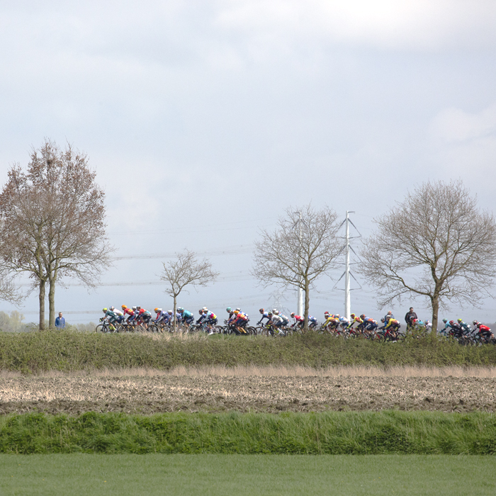 Scheldeprijs 2024 - A group of riders in the Dutch countryside with modern pylons in the distance near Heinkenszand