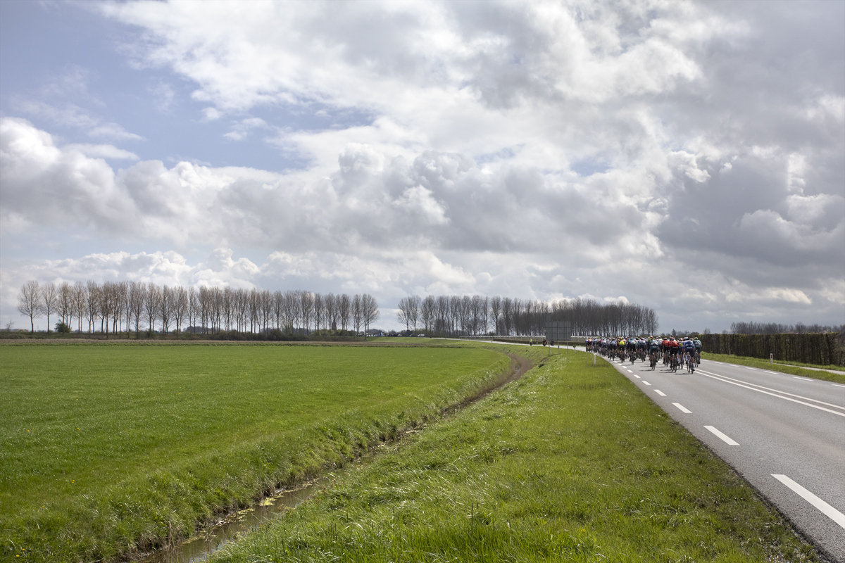 Scheldeprijs 2024 - Riders near Heinkenszand the road bordered by a dyke and a line of trees in the distance