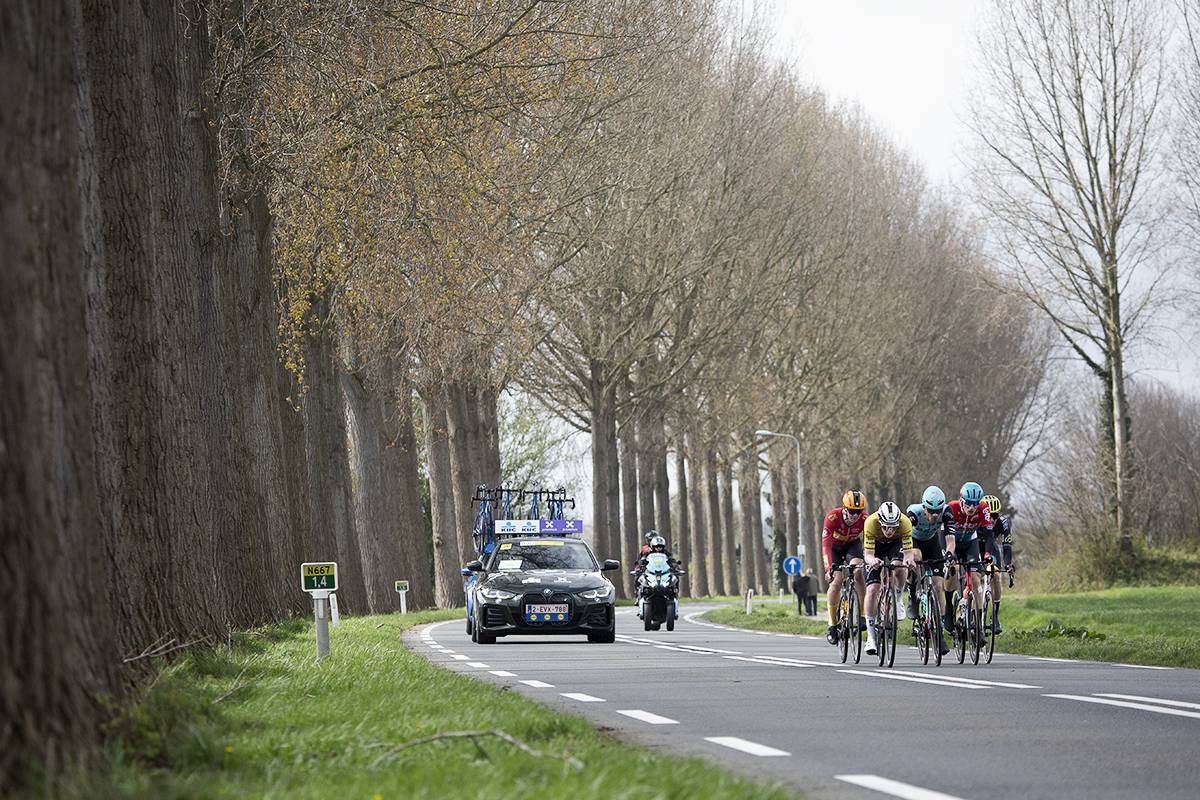 Scheldeprijs 2024 - Riders on a road lined with mature trees near Heinkenszand