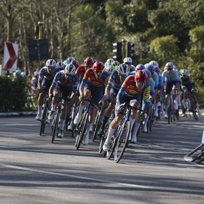 Scheldeprijs 2025 - Riders snake through a chicane in the road on Calesbergdreef