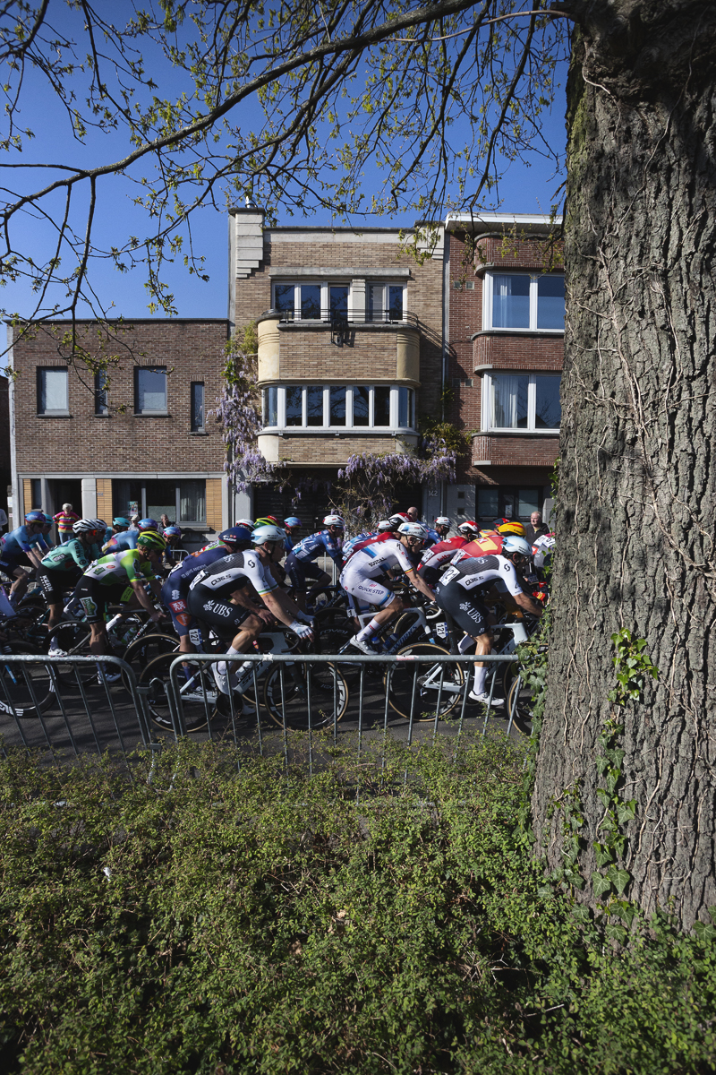 Scheldeprijs 2025 - Framed by a tree trunk riders pass modern housing on Churchilllaan