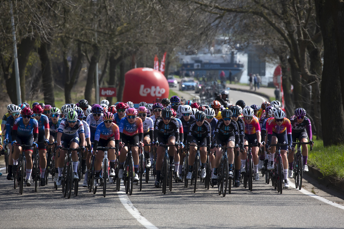 Scheldeprijs 2023 Vrouwen - The peloton rides down the side of the Albertkanaal