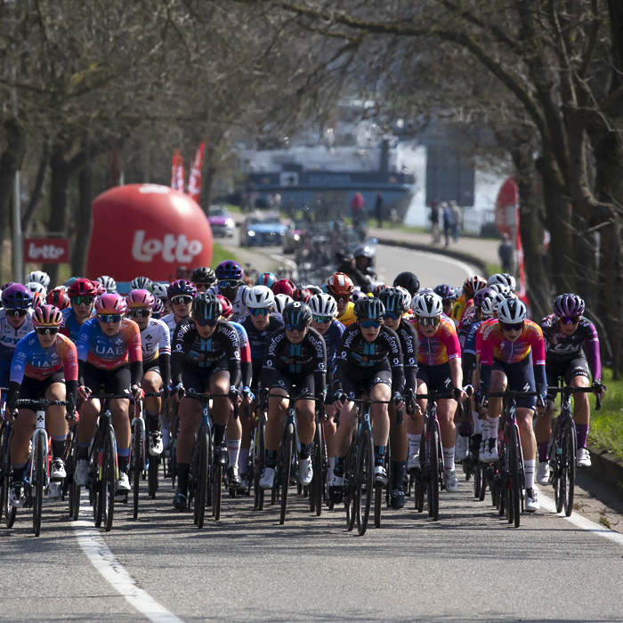 Scheldeprijs 2023 Vrouwen - The peloton rides down the side of the Albertkanaal