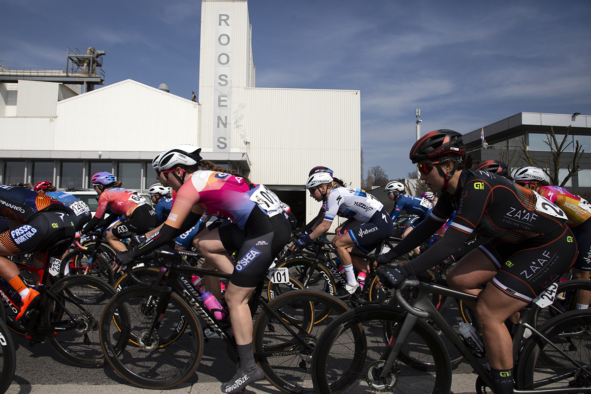 Scheldeprijs 2023 Vrouwen - The peloton pass the front of the white Roosens factory on the docks in Schoten