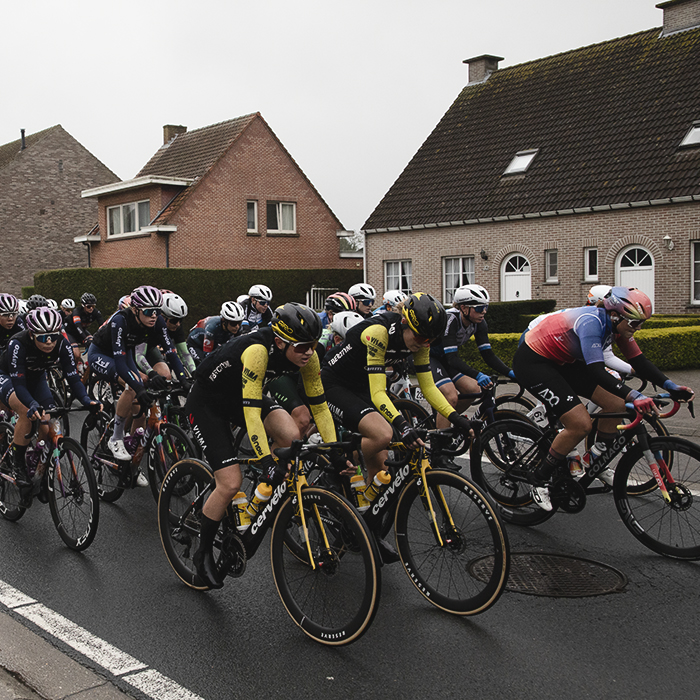 Scheldeprijs Vrouwen 2024 - The peloton rides down a road lined with Belgian housing in Achterbroek