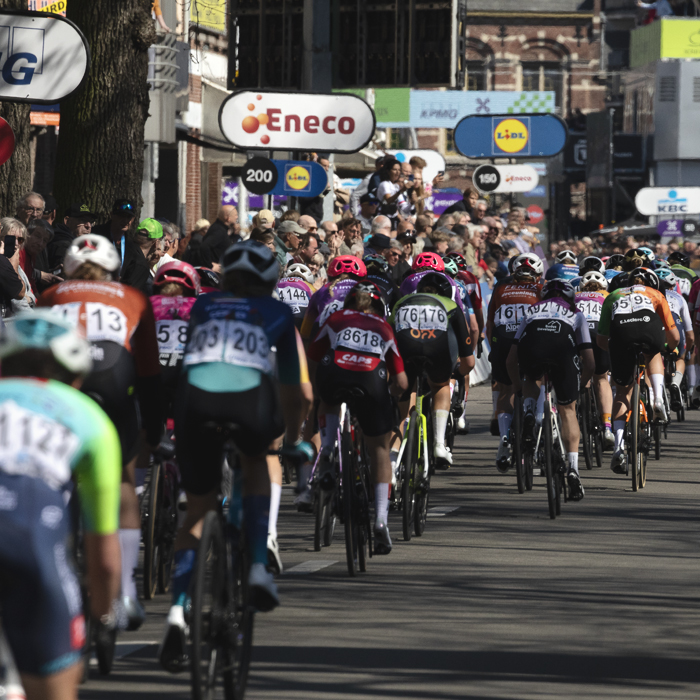 Scheldeprijs Vrouwen 2025 - The peloton seen from behind as the final riders cross the finish