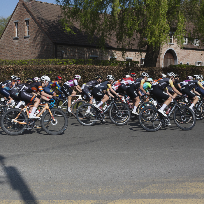 Scheldeprijs Vrouwen 2025 - Riders pass a traditional farm building in Sterenhoven