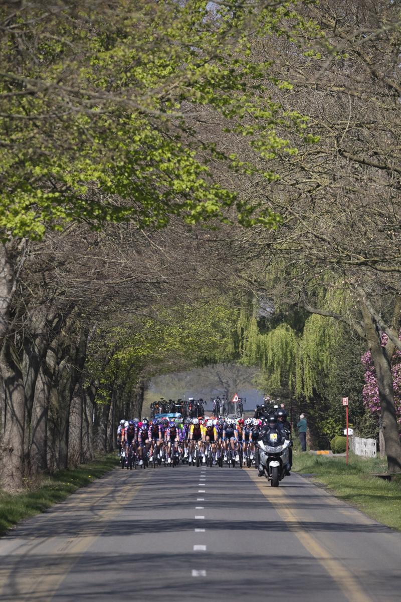 Scheldeprijs Vrouwen 2025 - Trees coming into leaf line the road and frame the riders in Sterenhoven