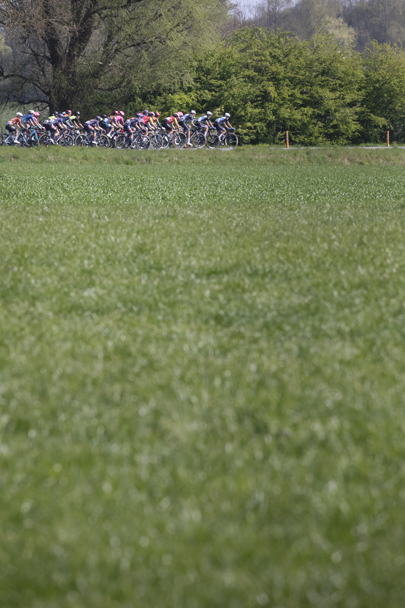 Scheldeprijs Vrouwen 2025 - The peloton is viewed over an arable field in Sterenhoven