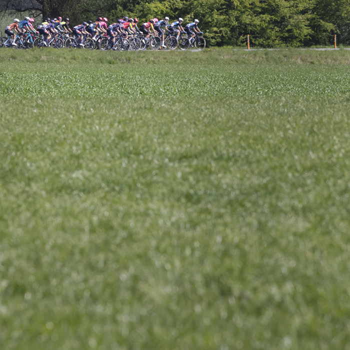 Scheldeprijs Vrouwen 2025 - The peloton is viewed over an arable field in Sterenhoven