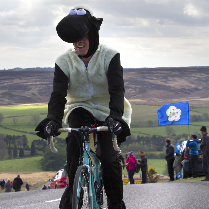 Tour de Yorkshire 2017 - A Yorkshire flag flys as a man dressed as a sheep cycles past at Goathland