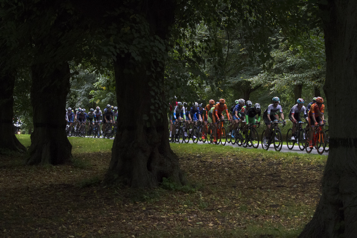 Tour of Britain 2017 - Riders pass through Clumber Park framed by a tree lined avenue