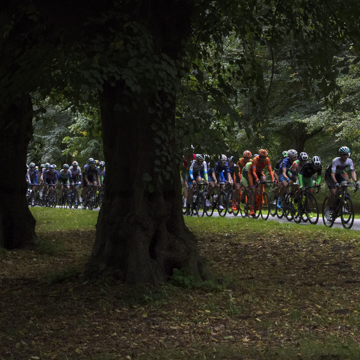 Tour of Britain 2017 - Riders pass through Clumber Park framed by a tree lined avenue