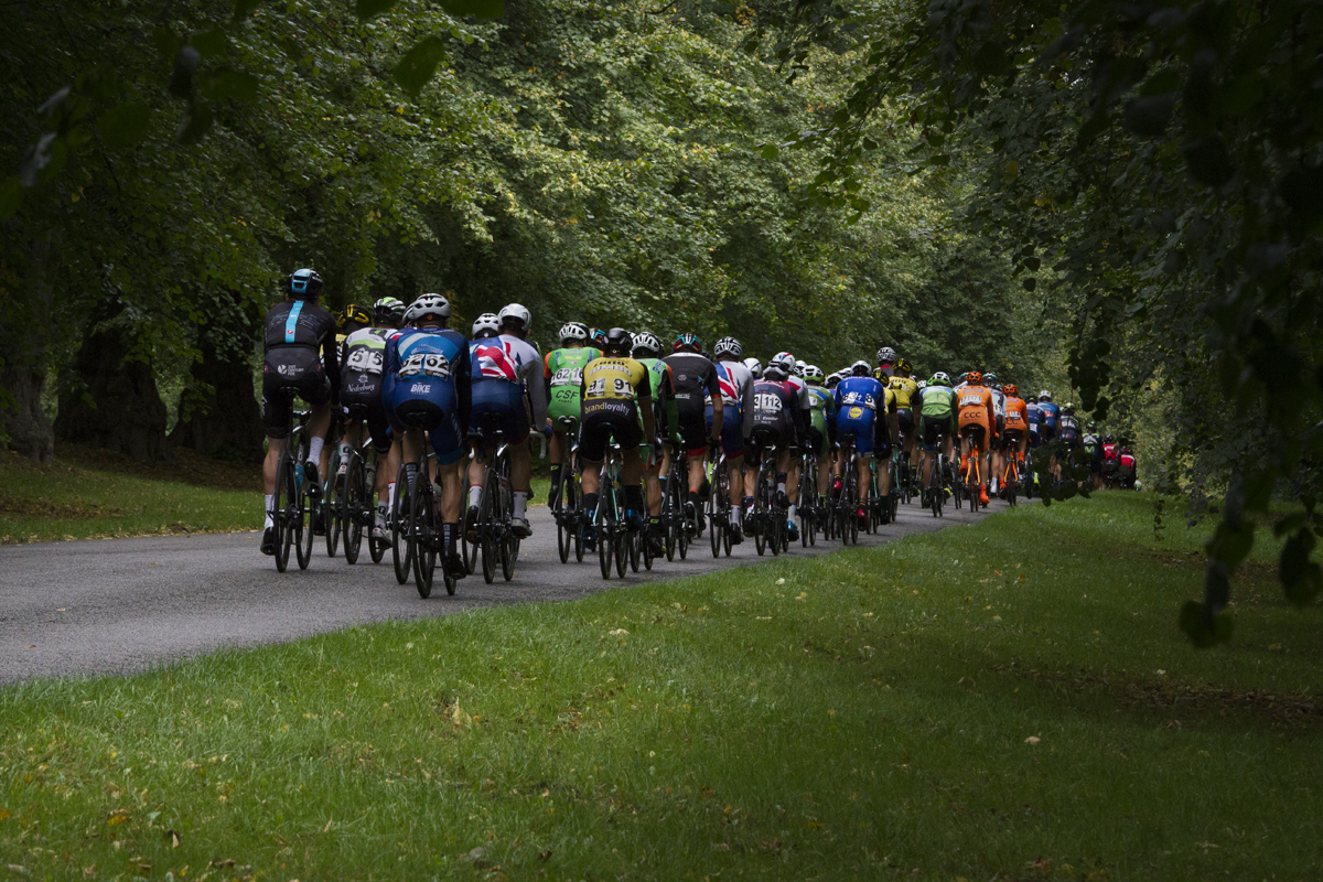 Tour of Britain 2017 - The peloton moves away down a tree lined avenue