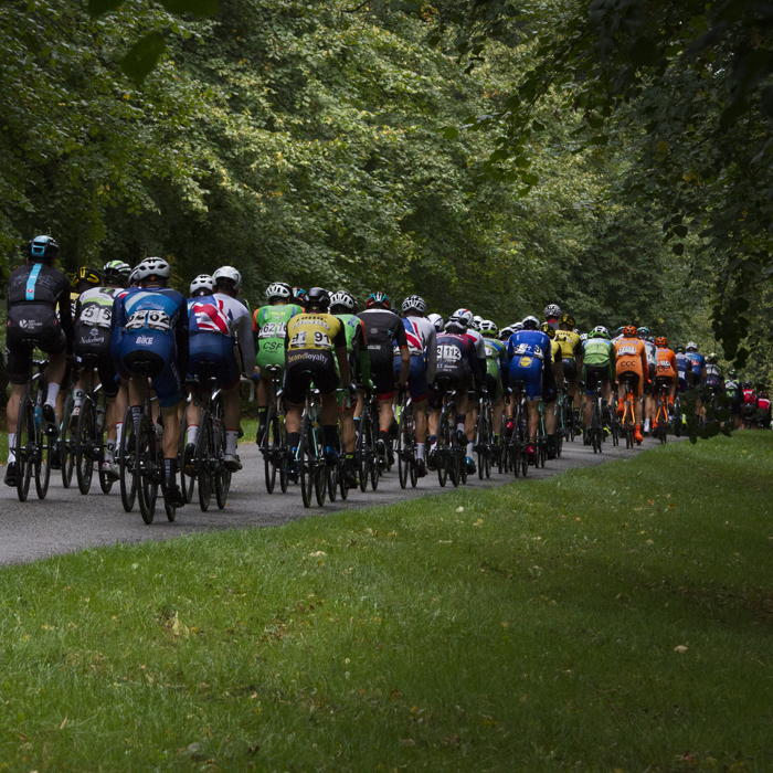 Tour of Britain 2017 - The peloton moves away down a tree lined avenue