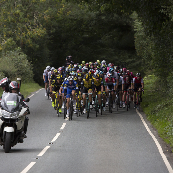 Tour of Britain 2018 - the peloton moves down tree lined roads in Cumbria