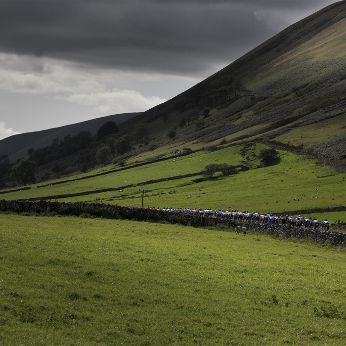 Tour of Britain 2019 - the peloton pass by dry stone walls in the hilly landscape near Sedburgh, Cumbria