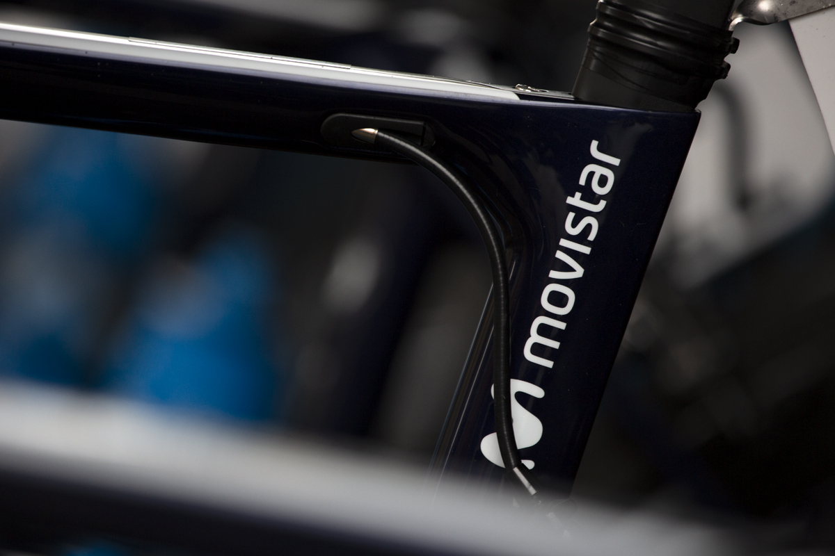 Tour of Britain 2019 - Movistar logo on their Canyon bikes