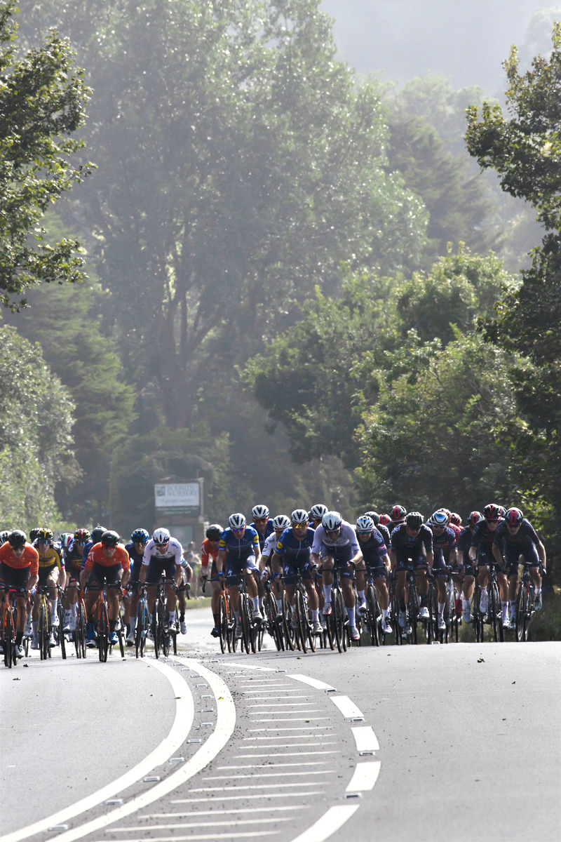 Tour of Britain 2021 - The peloton climbs the hill on the way into Bodmin