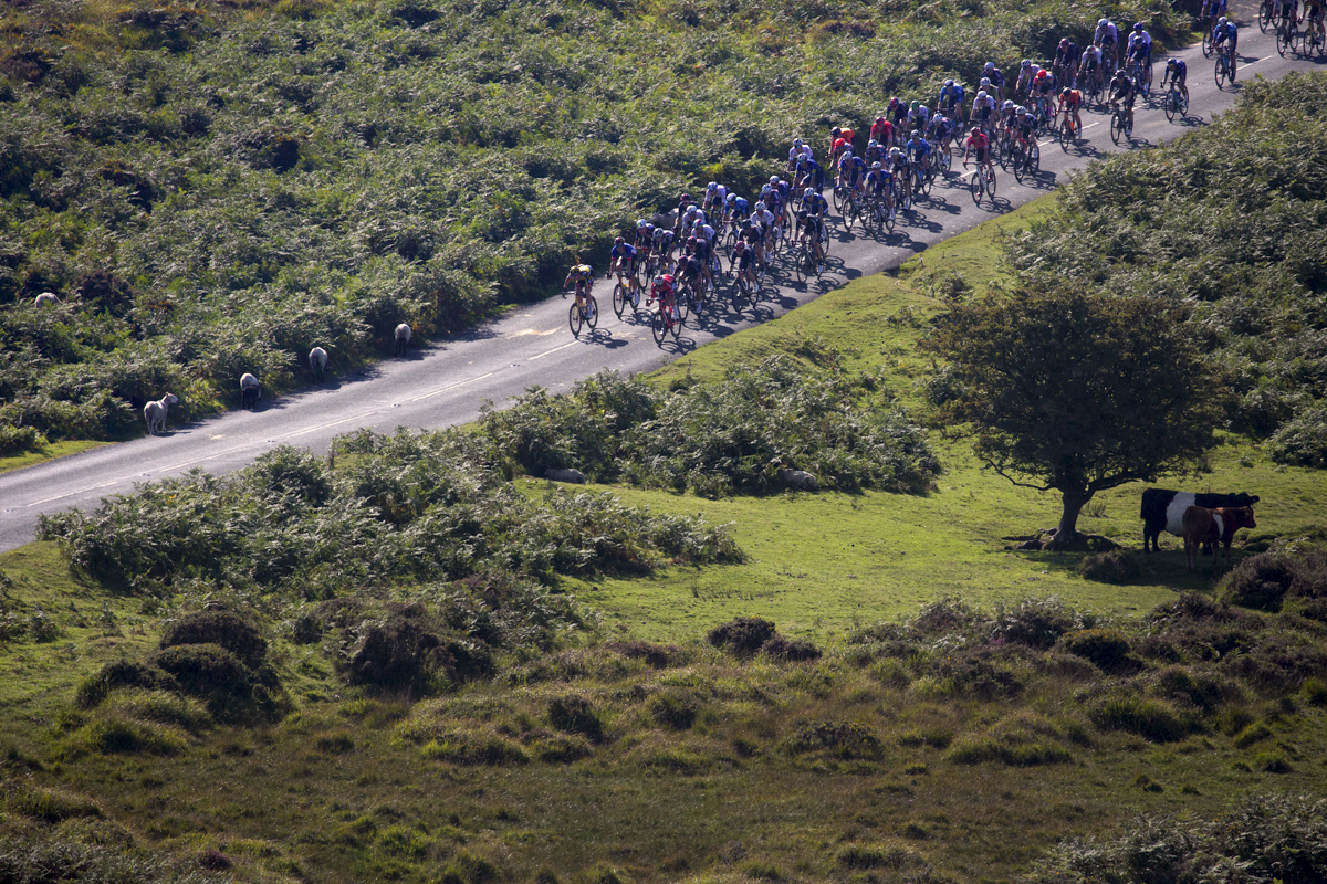 Tour of Britain 2021 - Cows and sheep watch on as the race passes over Dartmoor