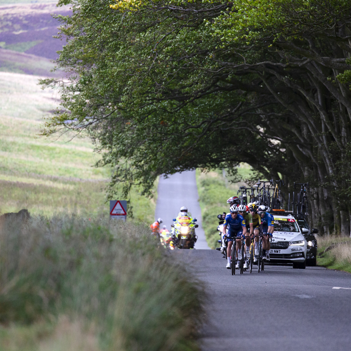 Tour of Britain 2021 - The peloton approaches framed by trees, while heather covered moorland can be seen in the distance