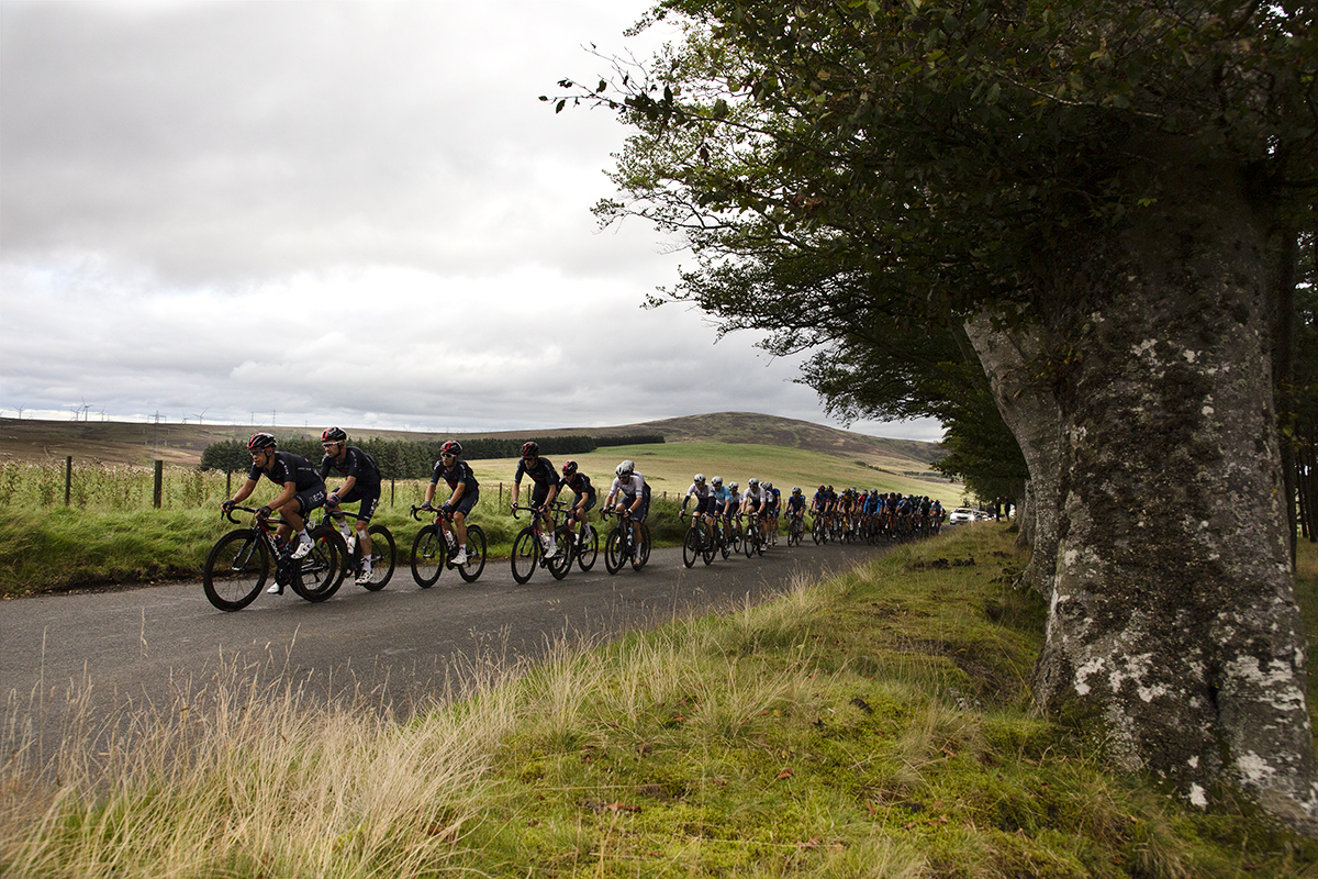 Tour of Britain 2021 - INEOS Grenadiers lead the peloton through an avenue of trees