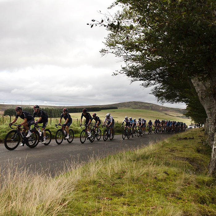 Tour of Britain 2021 - INEOS Grenadiers lead the peloton through an avenue of trees