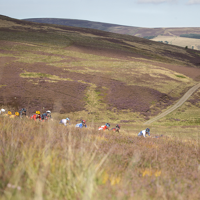 Tour of Britain 2022 - The riders poke above the heather on the moor in the Scottish Borders on stage 2