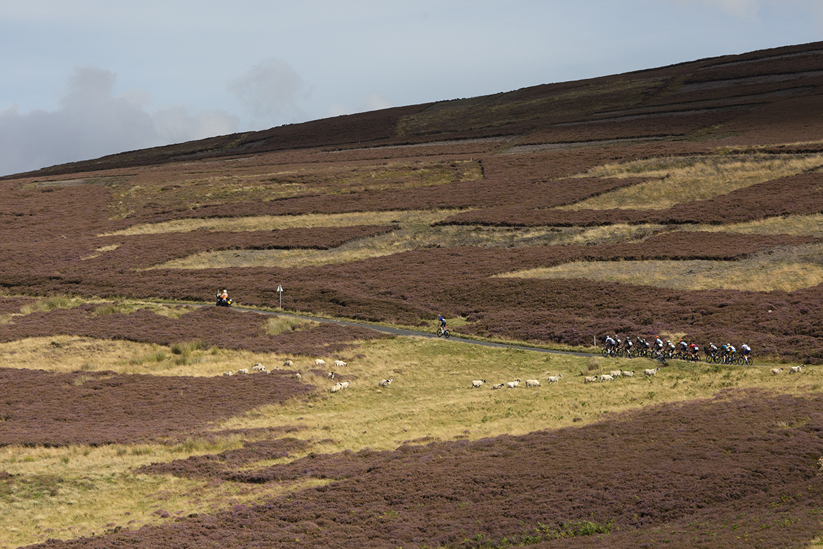 Tour of Britain 2022 - The main group climb the King Of The Mountain section at Mainslaughter Law on stage 2 of the race