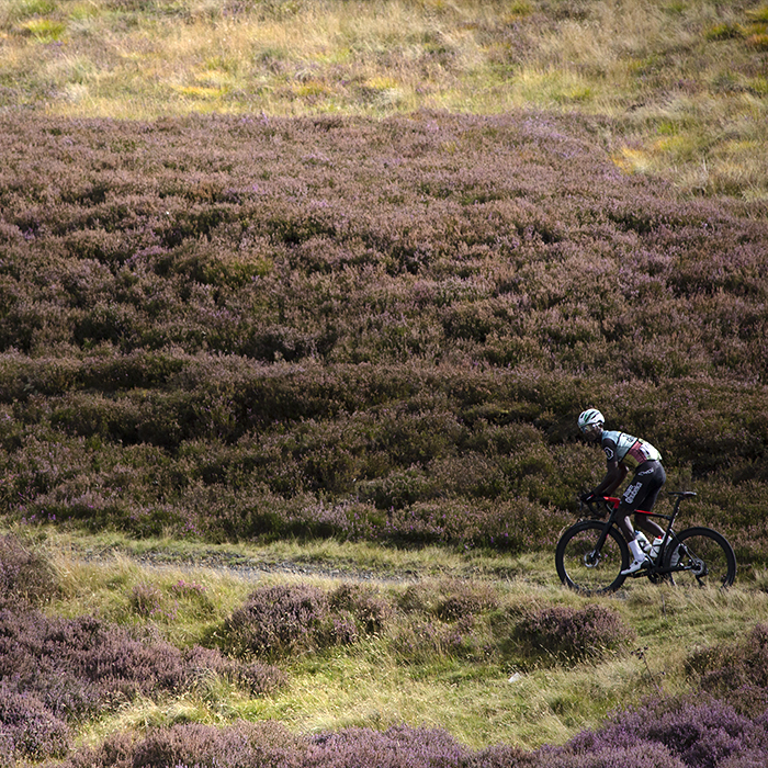 Tour of Britain 2022 - Nahom Zerai of Team Qhubeka climbs through the heather clad moorland up the King of the Mountains climb at Mainslaughter Law in the Scottish Borders on Stage 2 of the race