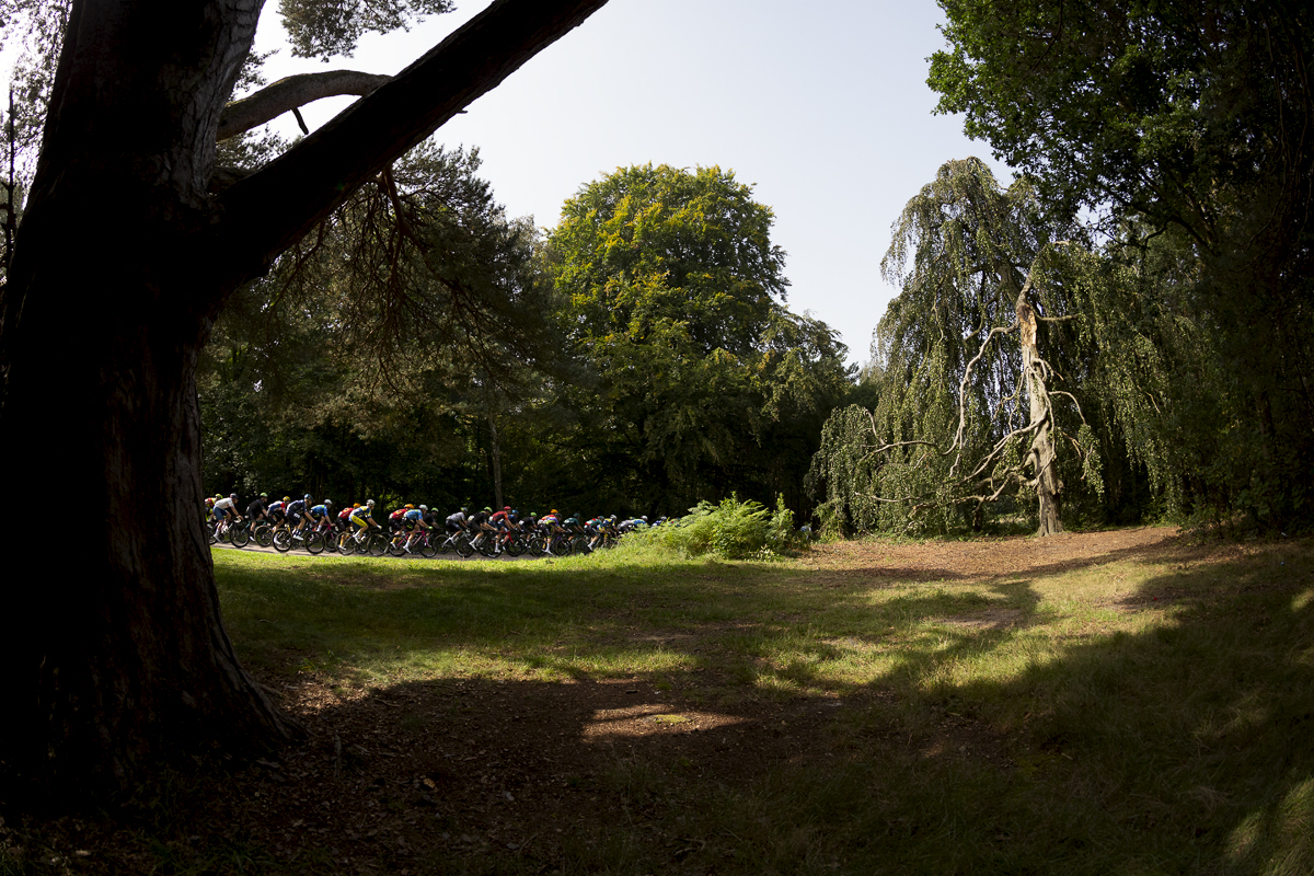 Tour of Britain 2023 - The peloton rides through the trees in Clumber Park