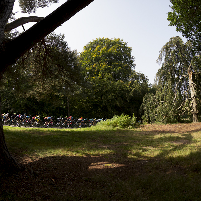 Tour of Britain 2023 - The peloton rides through the trees in Clumber Park