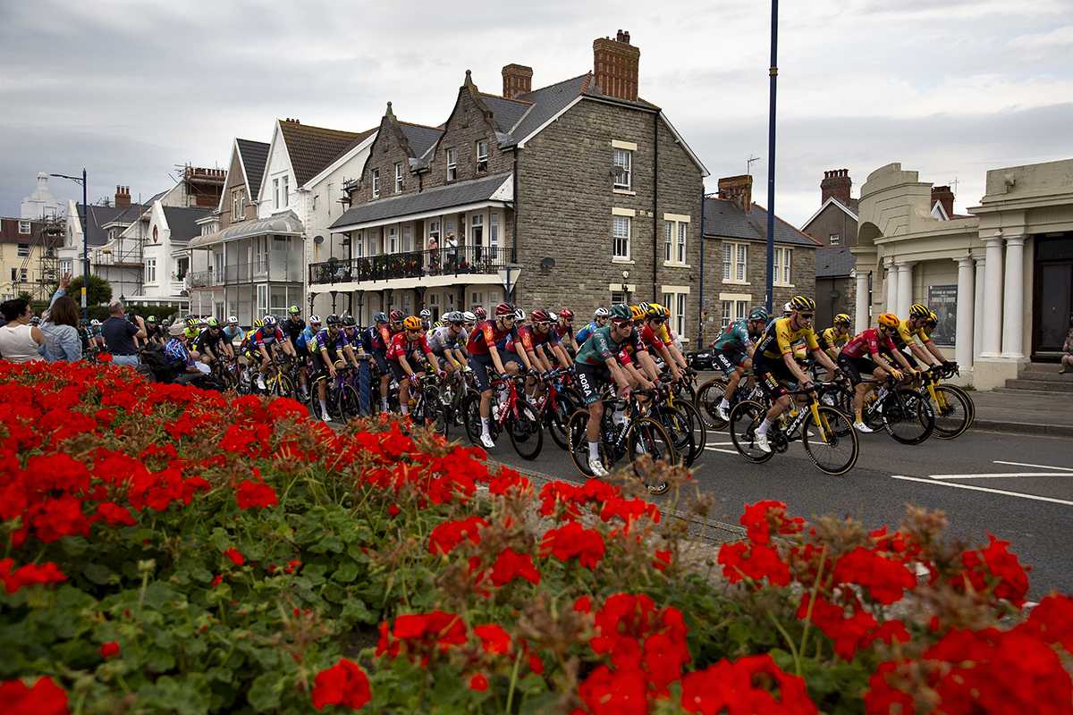 Tour of Britain 2023 - The peloton moves through the streets of Porthcawl with a bed of bright red flowers in the foreground