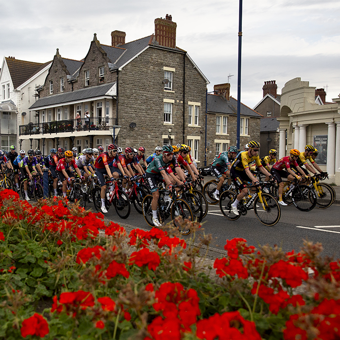 Tour of Britain 2023 - The peloton moves through the streets of Porthcawl with a bed of bright red flowers in the foreground