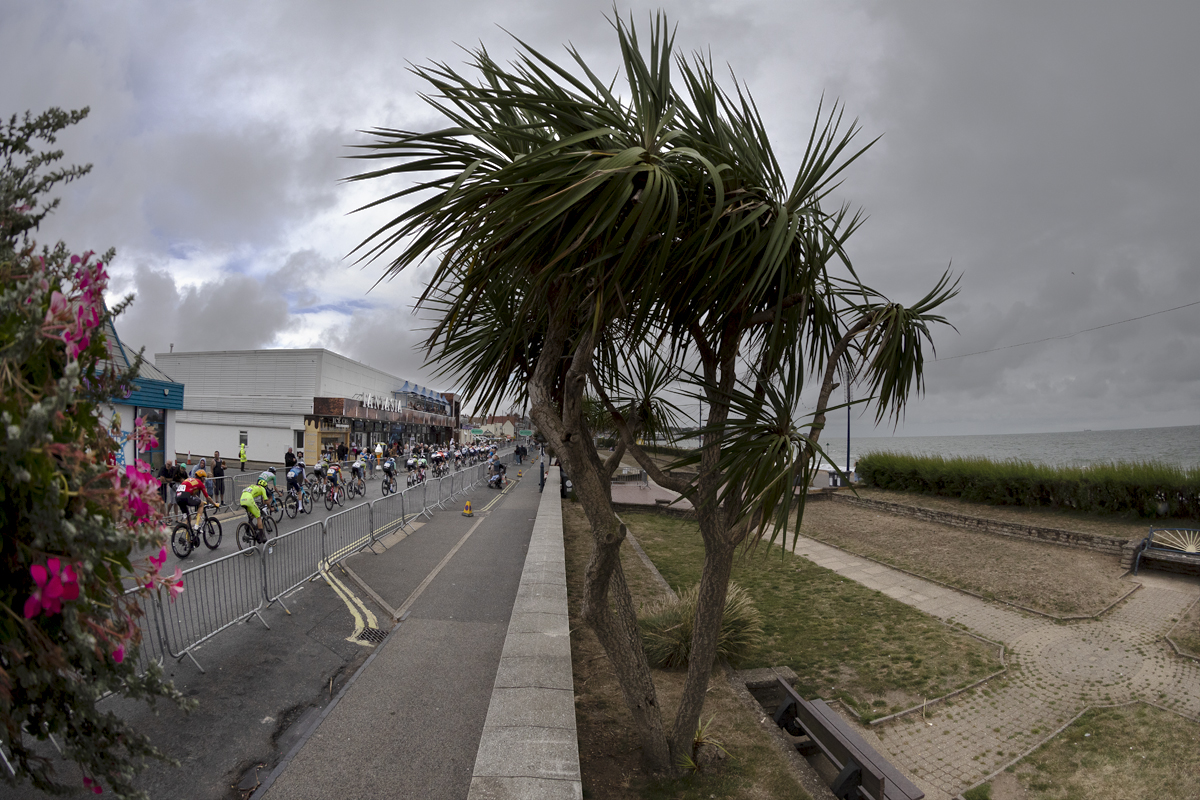 Tour of Britain 2024 - A palm tree is buffeted by the wind as a storm blows onto the passing peloton on the finish straight in Felixstowe