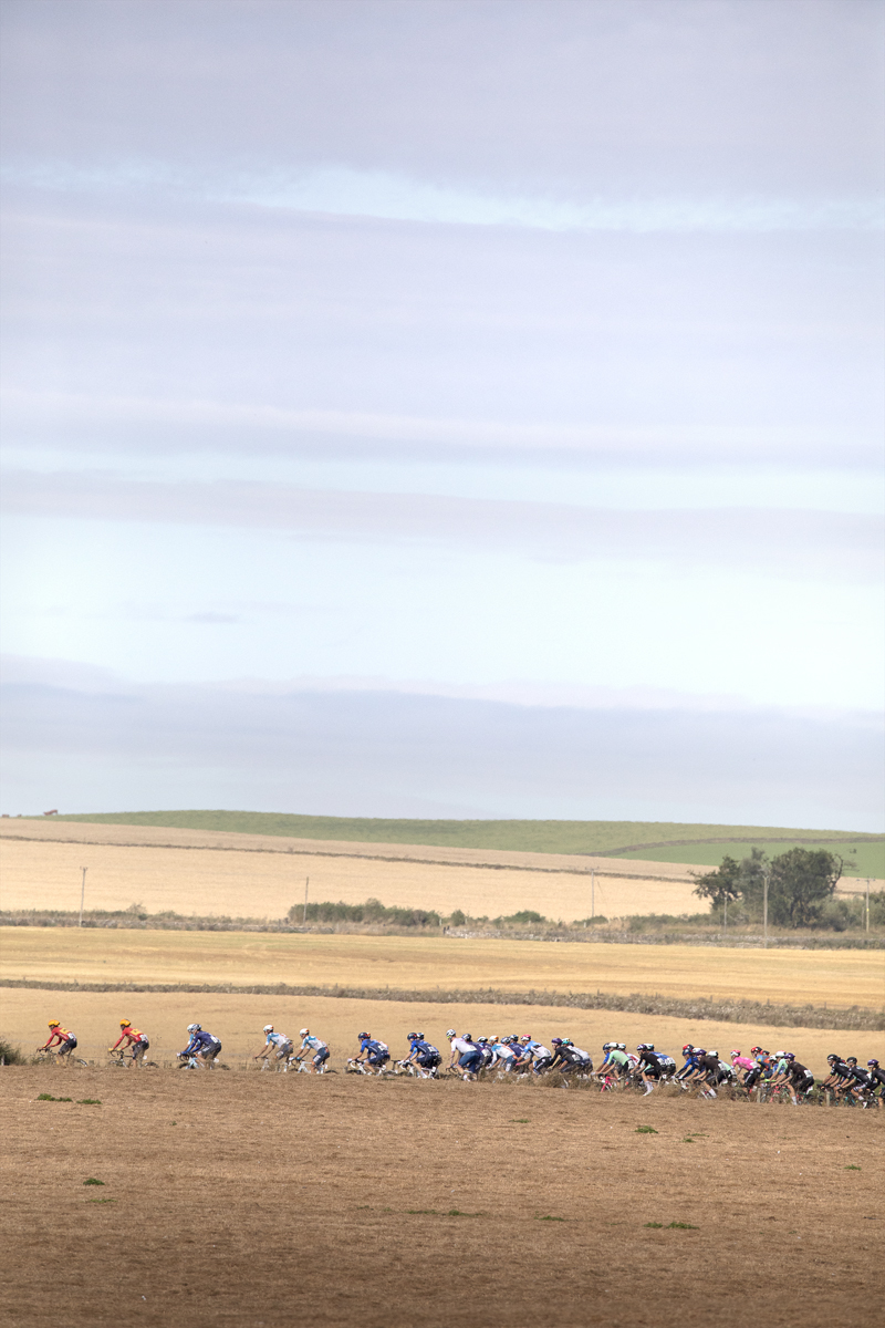 Tour of Britain 2024 - The peloton passes through golden fields of newly harvested corn in the Scottish Borders