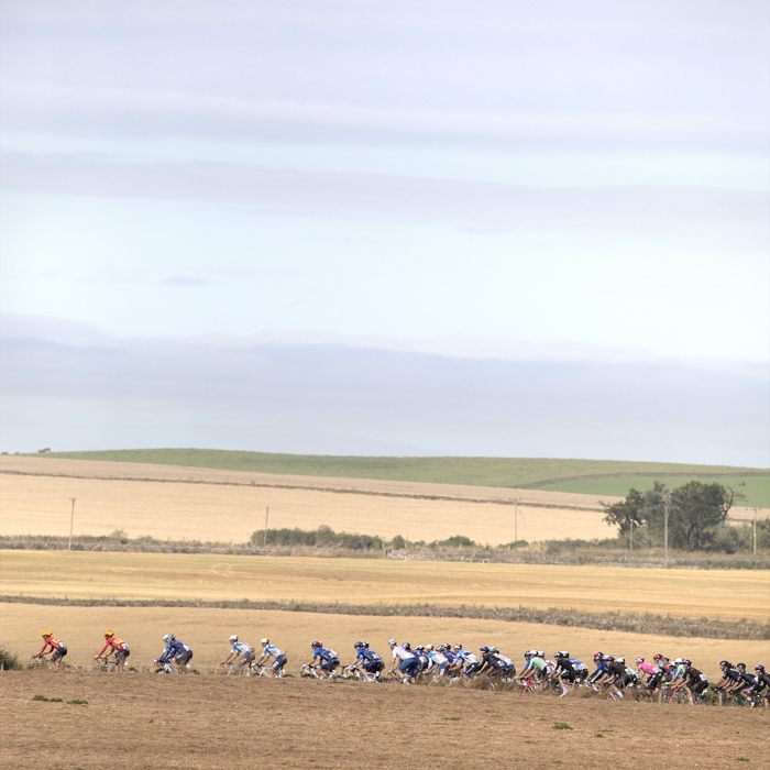 Tour of Britain 2024 - The peloton passes through golden fields of newly harvested corn in the Scottish Borders