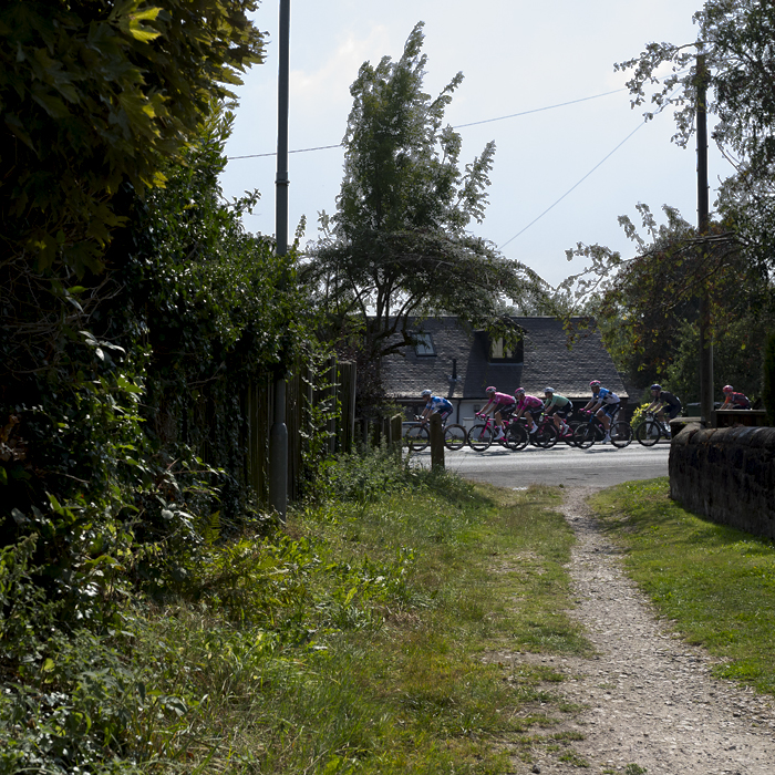 Tour of Britain 2024 - The peloton is framed at the end of a country lane