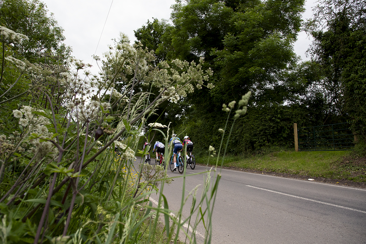 Tour of Britain Women’s 2024 - A group of riders seen through the flowers in the hedgerow