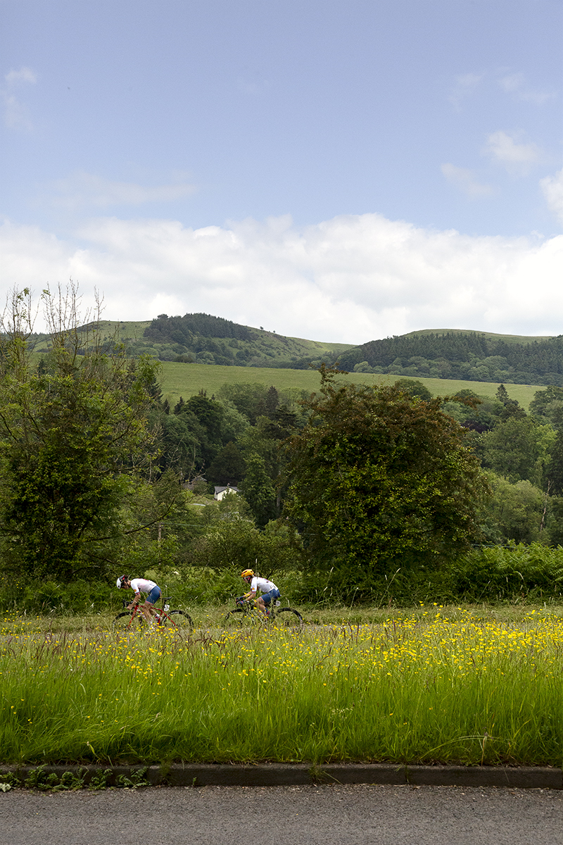 Tour of Britain Women’s 2024 - Two riders seen through a verge filled with buttercups