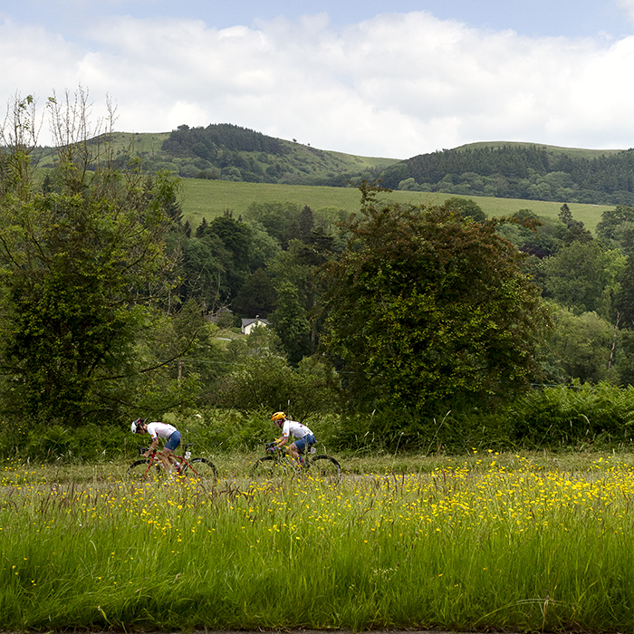 Tour of Britain Women’s 2024 - Two riders seen through a verge filled with buttercups