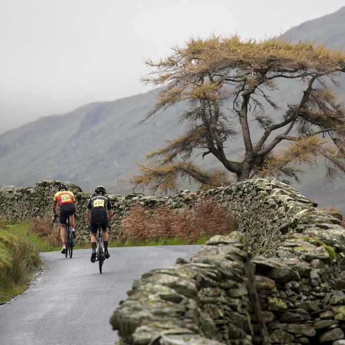 UK National Hill Climb Championships 2023 - Thomas Hall & Callum Spencer pass by a Scotts Pine Tree in autumnal colours